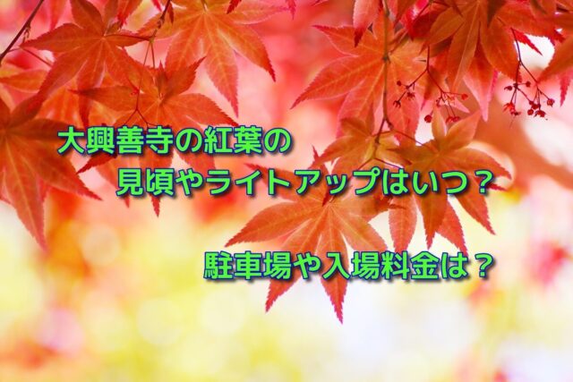 大興善寺の紅葉19の見頃やライトアップはいつ 駐車場や入場料金は おでかけスポット見つけた