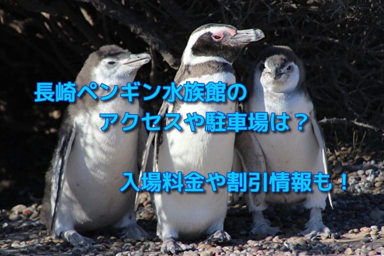 長崎ペンギン水族館のアクセスや駐車場は？入場料金や割引情報も！