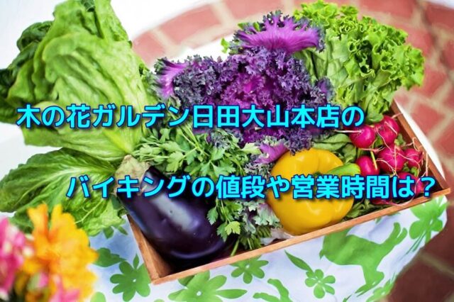 木の花ガルデン日田大山本店のバイキングの値段や営業時間は？ | おでかけスポット見つけた！