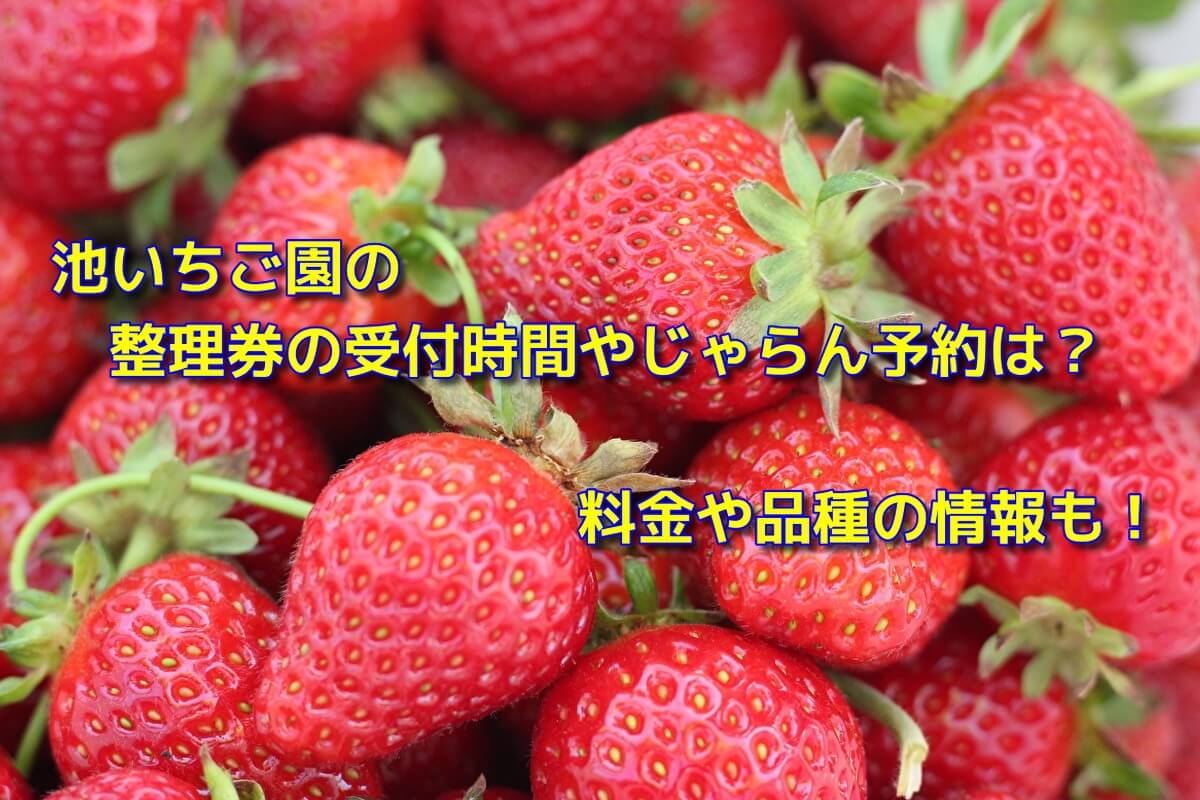 池いちご園のじゃらん予約方法や整理券の受付時間は 料金やアクセス情報も おでかけスポット見つけた