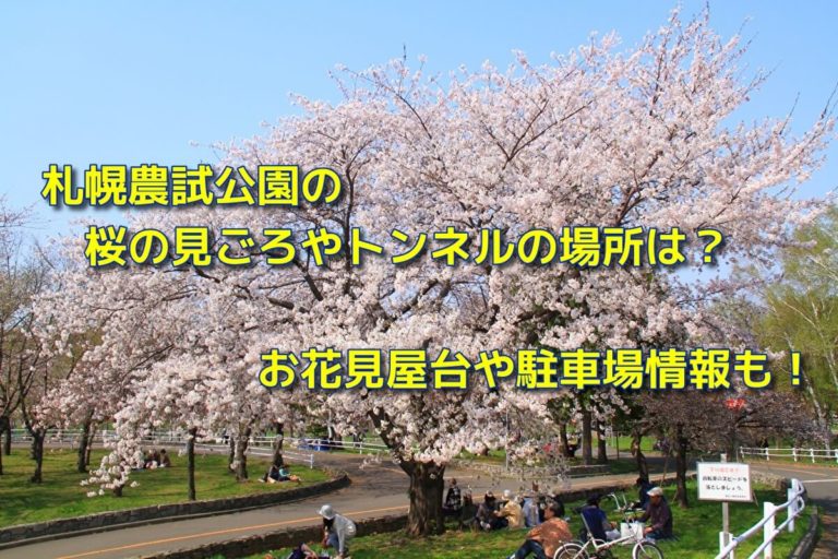 札幌農試公園の桜の見ごろやトンネルの場所は？お花見屋台や駐車場情報も！