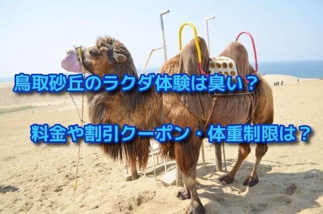 鳥取砂丘のラクダ体験は臭い？料金や割引クーポン・体重制限は？